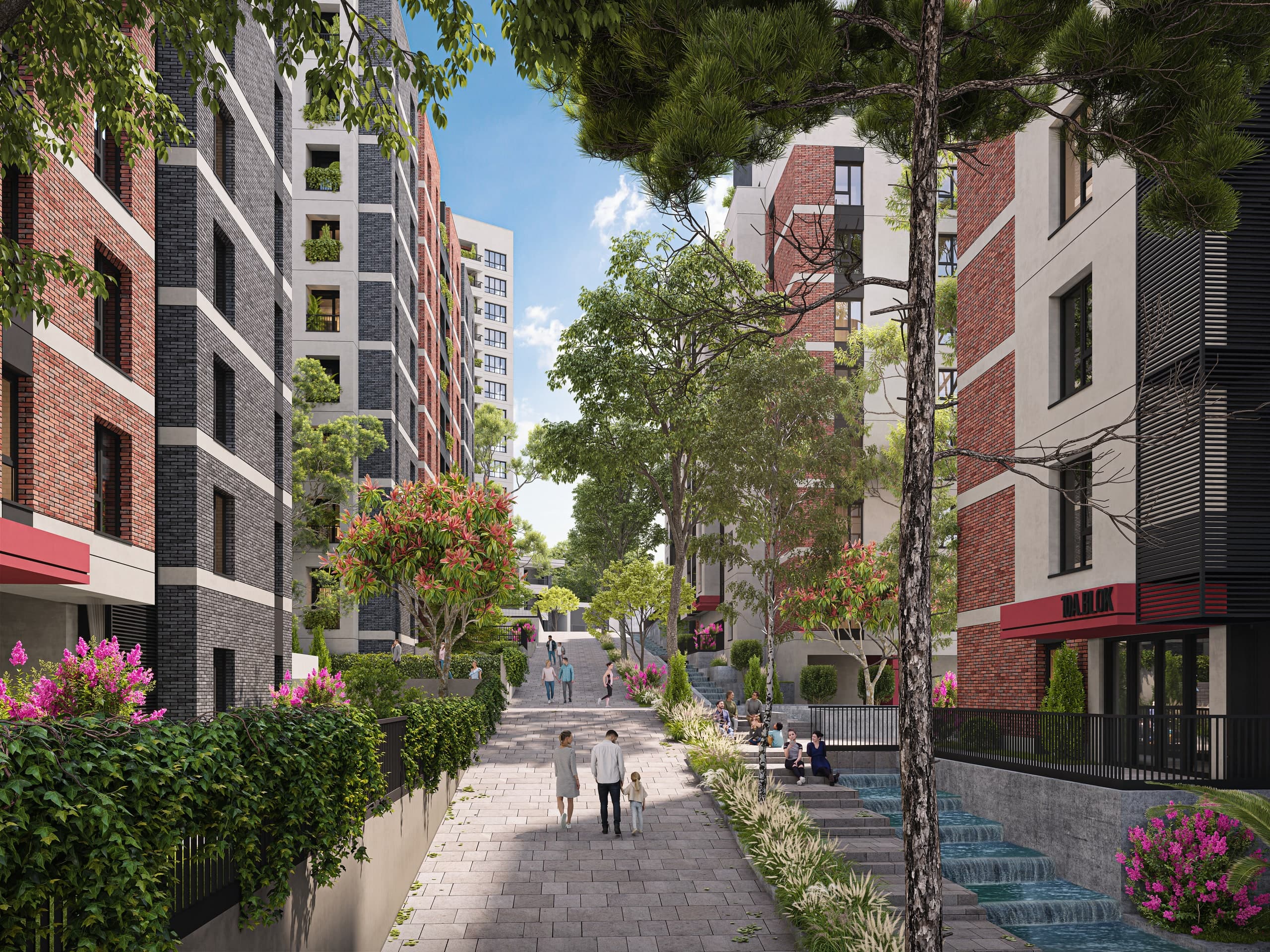 A.k New Neighborhood — نما 3