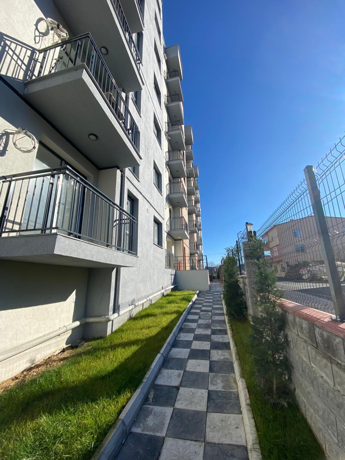 Blue Gul — view 3