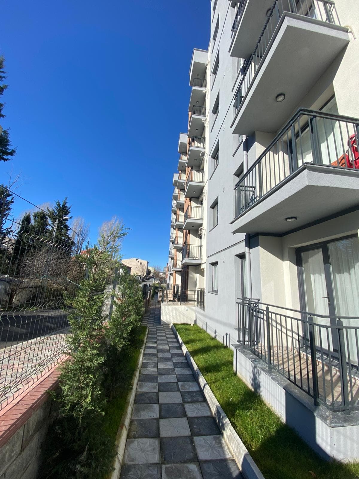 Blue Gul — view 4