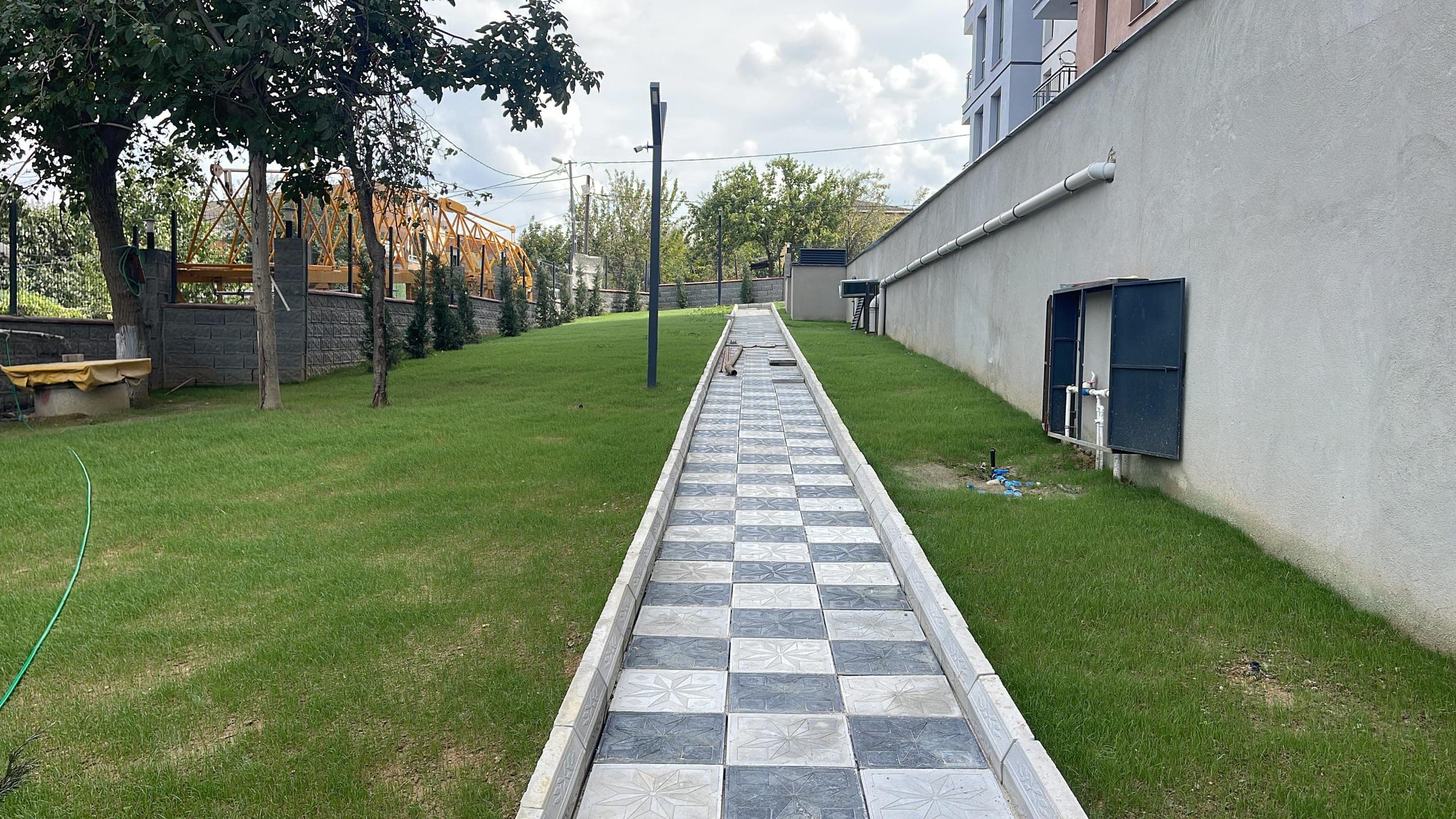 Blue Gul — view 7