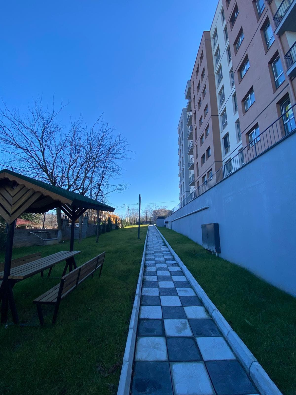 Blue Gul — view 8