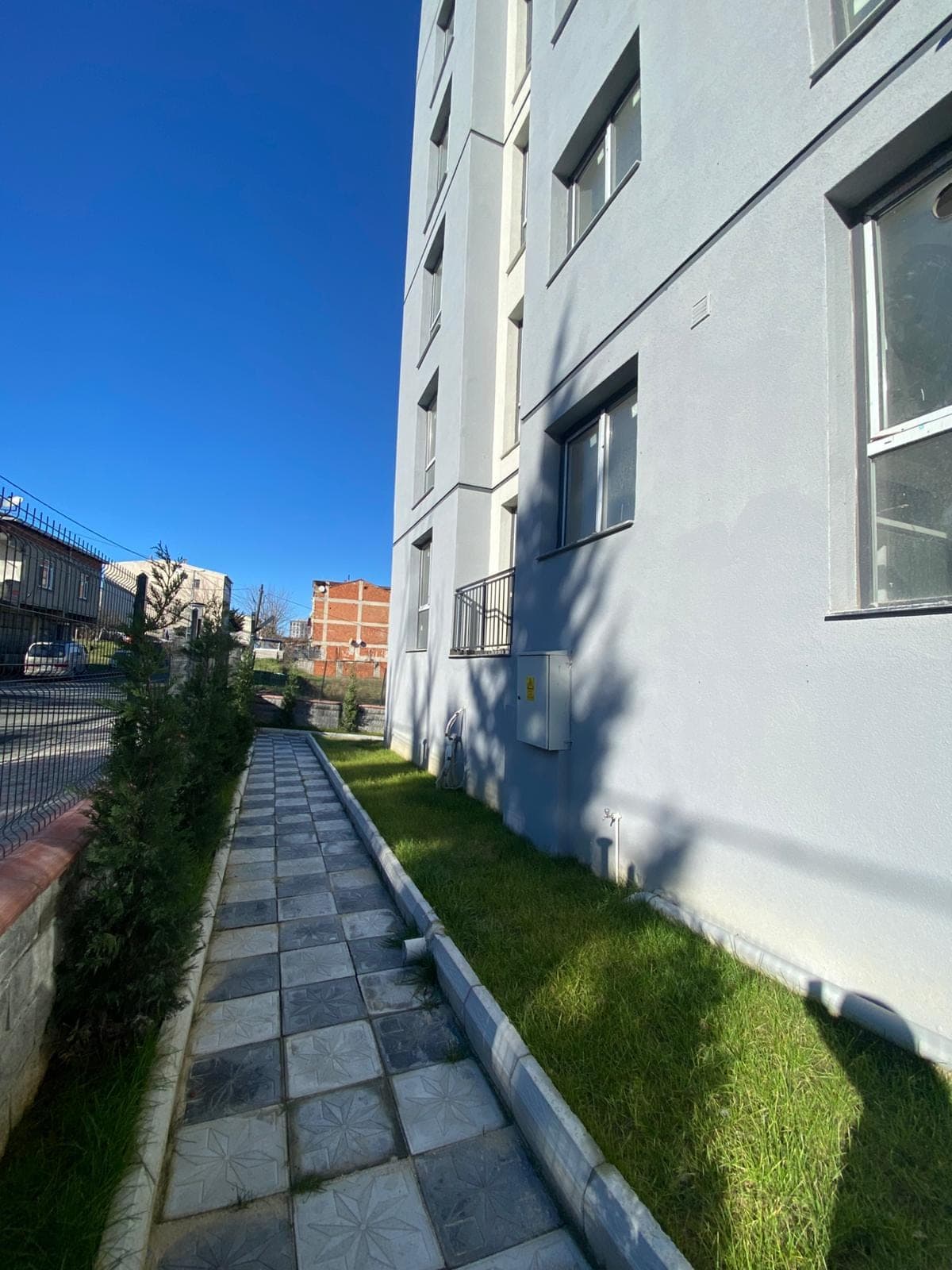 Blue Gul — view 9