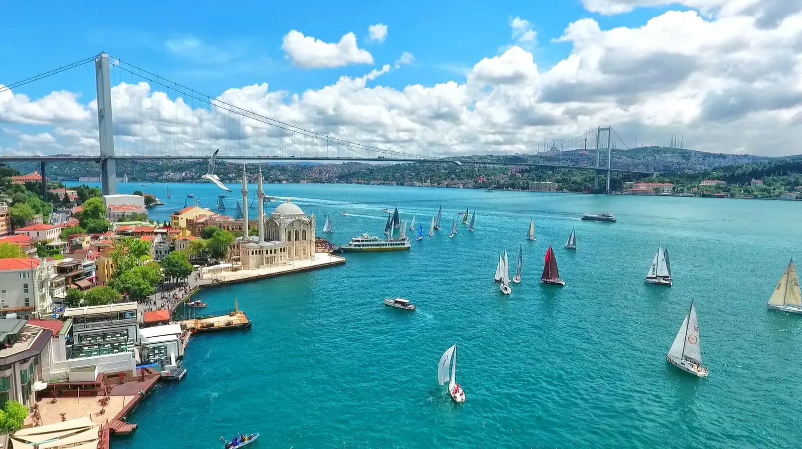Statistics Show High Potential for Businesses in Tourism in Türkiye