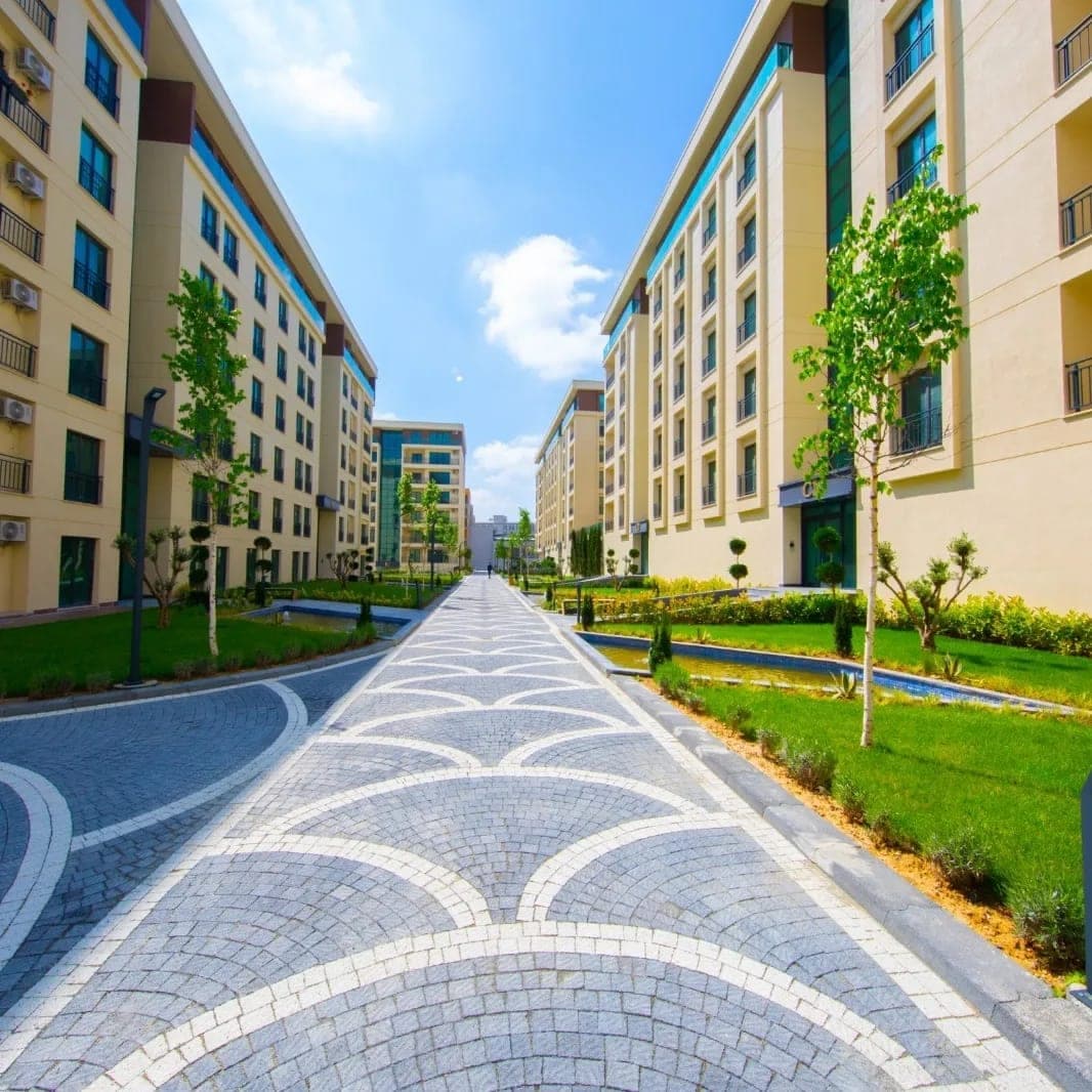Honor Compound — نما 4