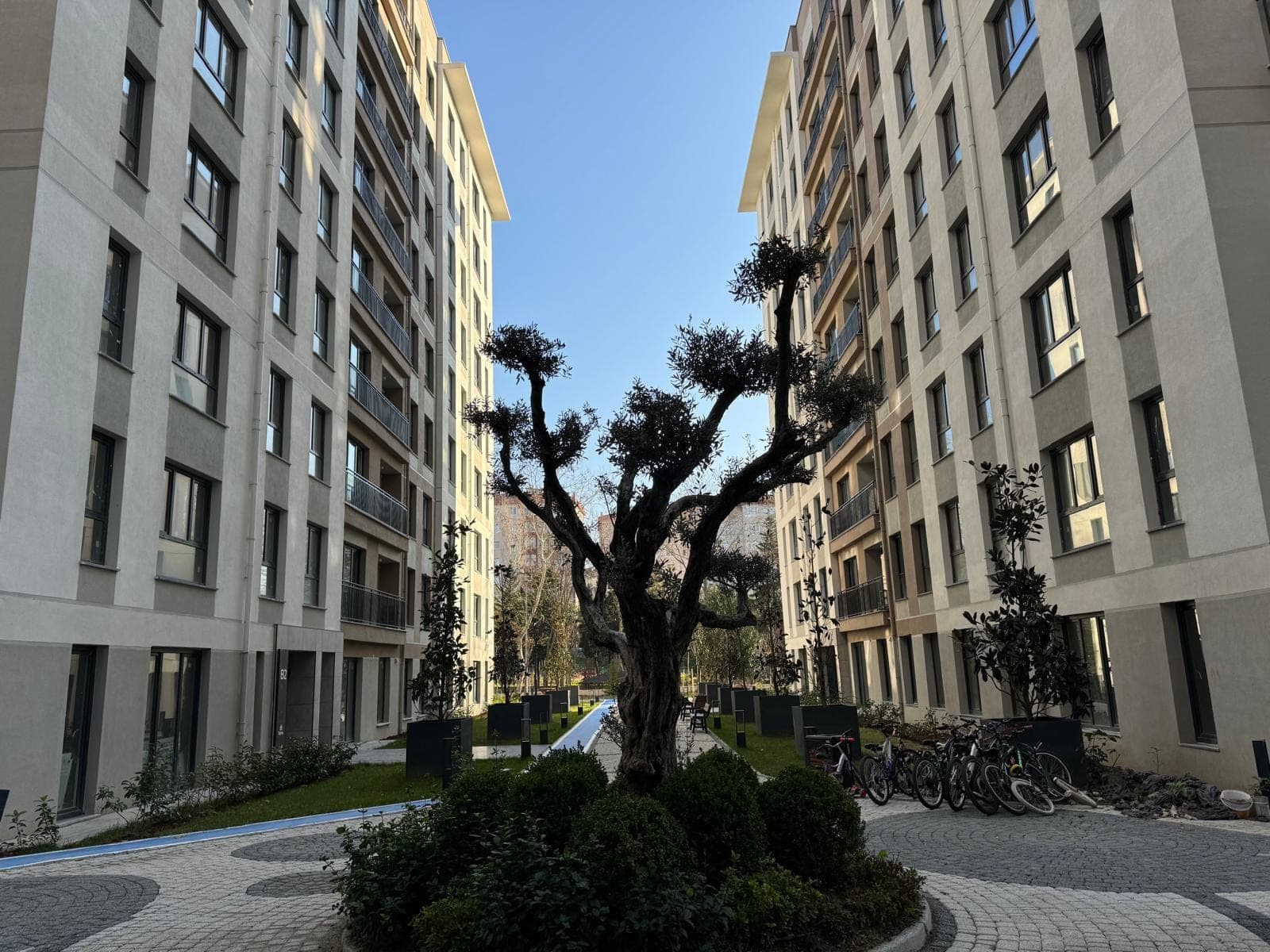 Park Garden Evleri — نما 1